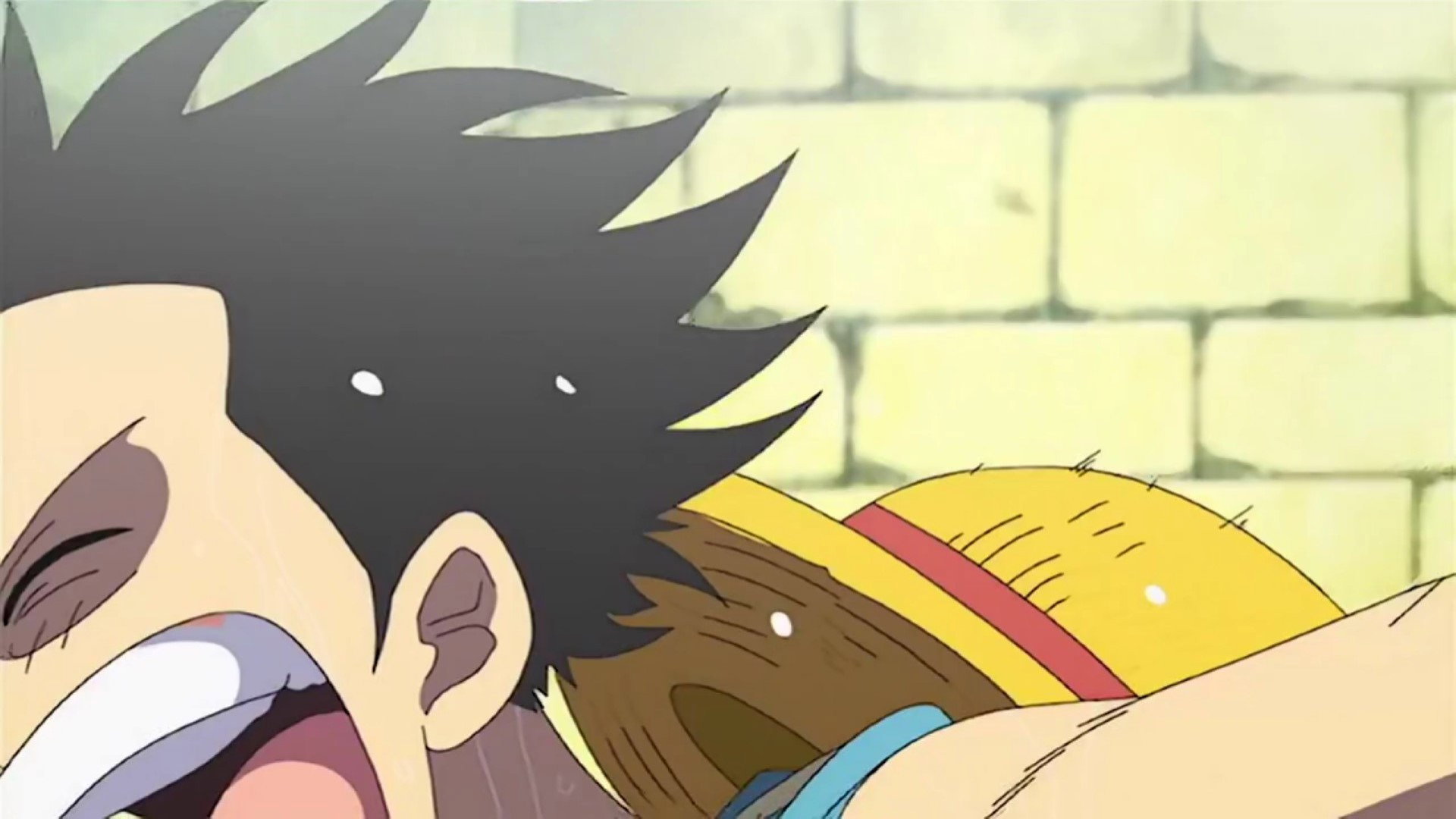 Folge Still