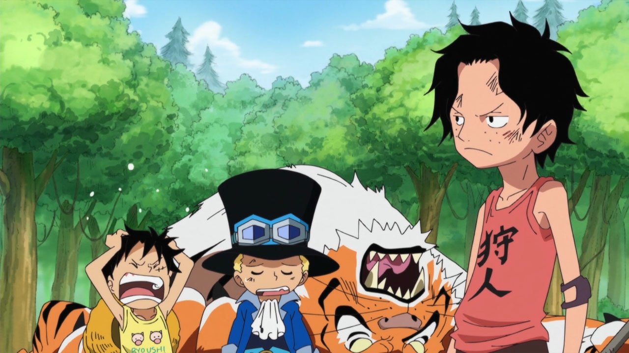 Folge Still