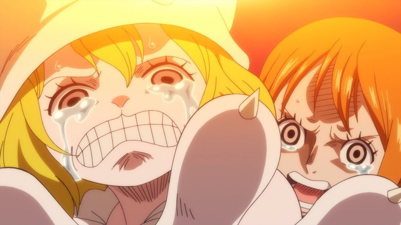 Folge Still