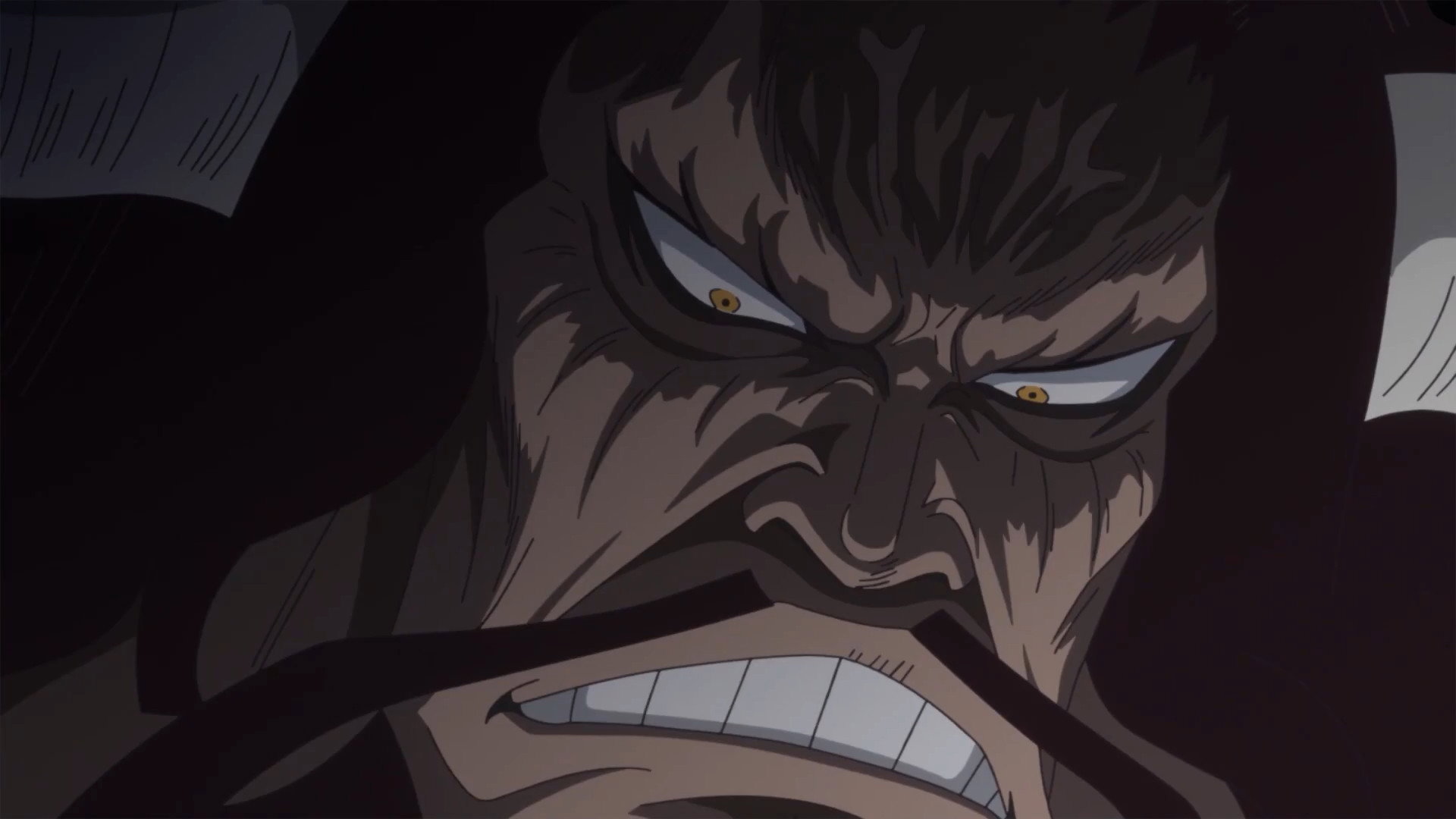 Folge Still