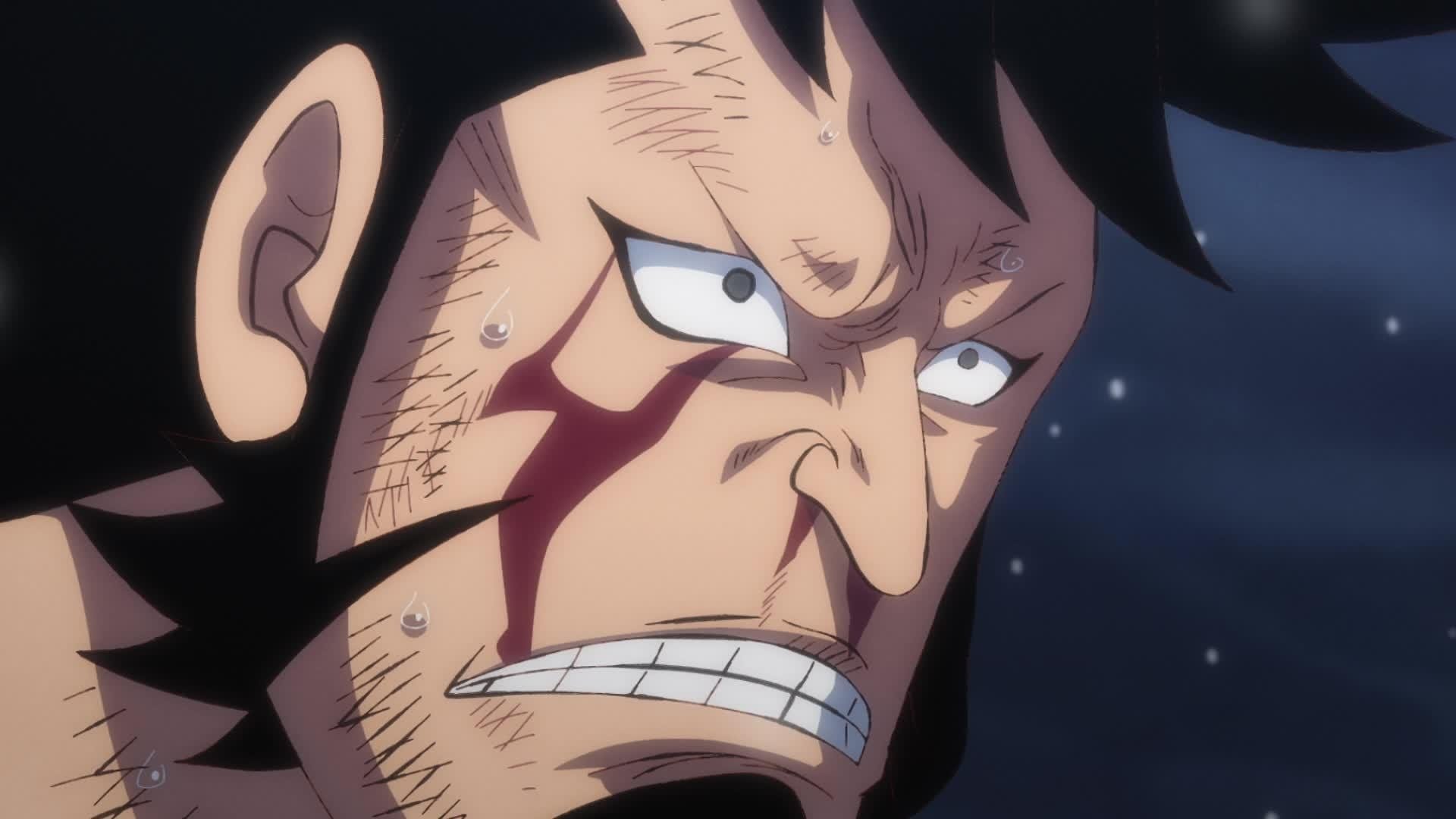 Folge Still