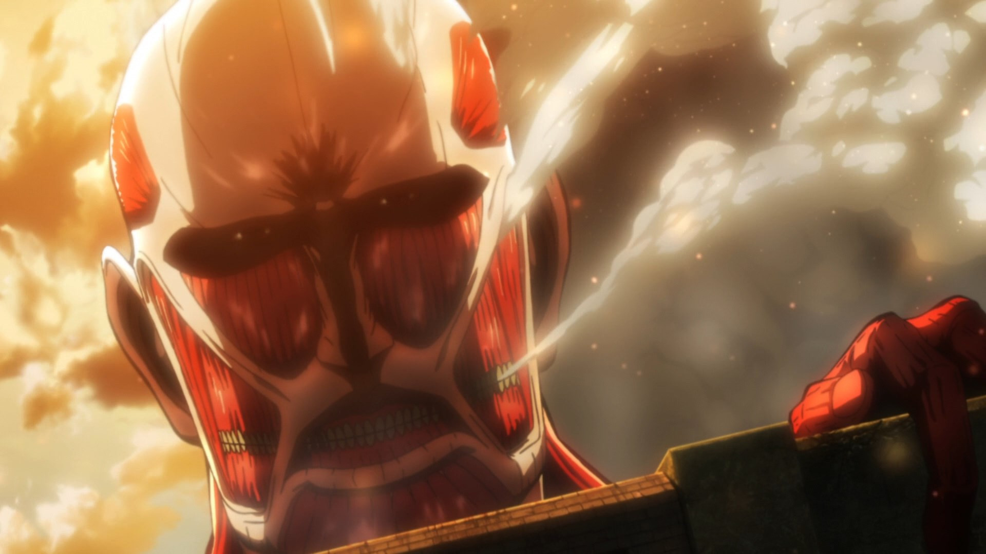 Folge Still