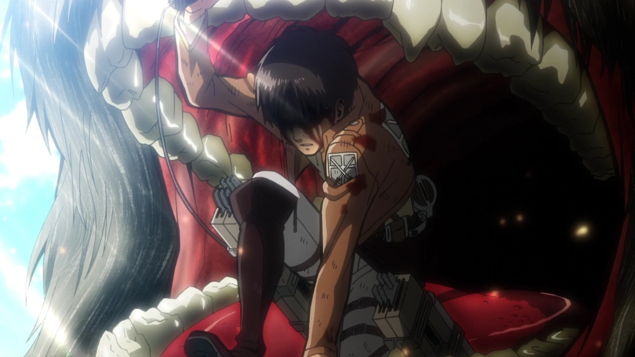 Folge Still