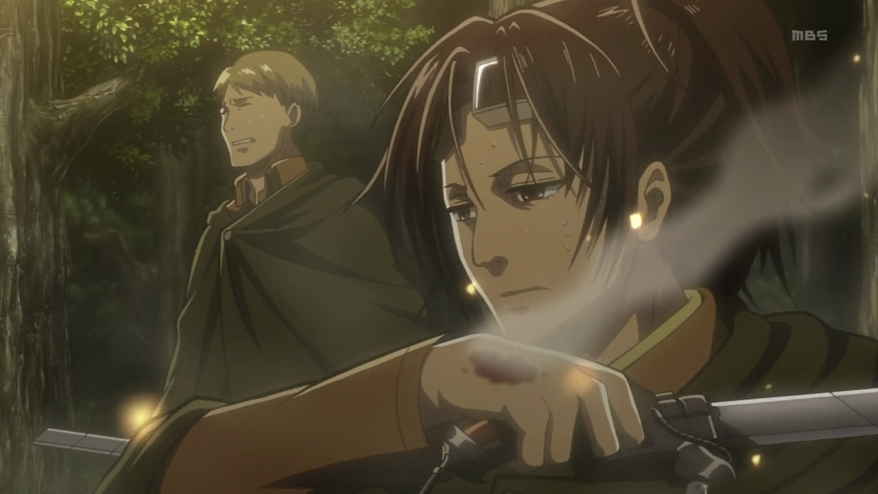 Folge Still