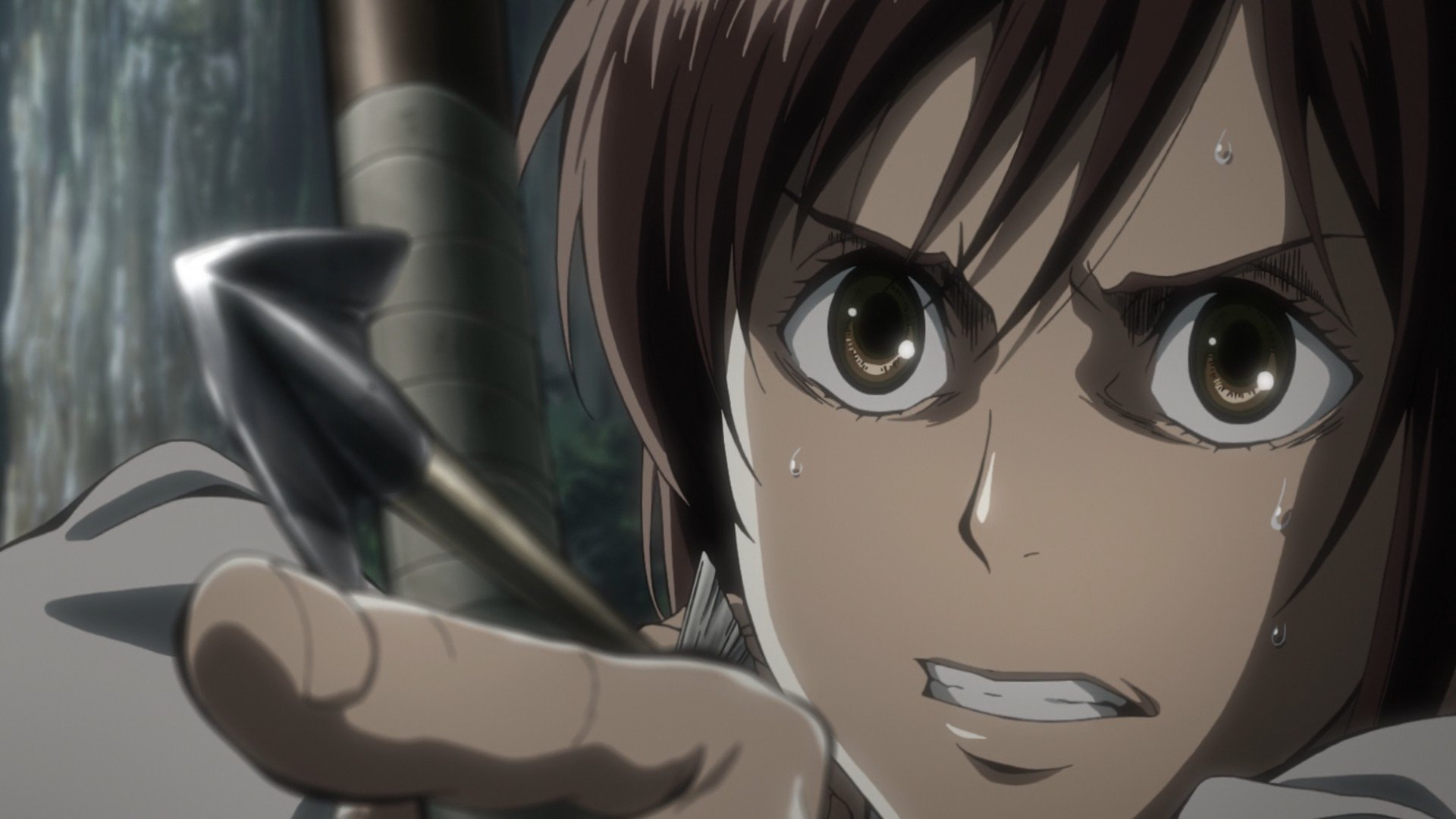 Folge Still