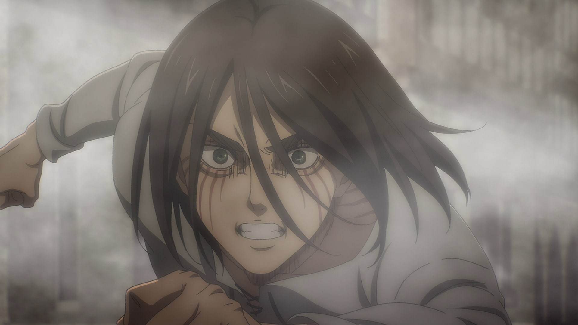 Folge Still