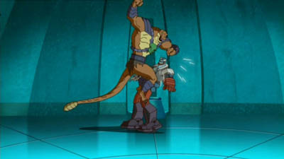 Folge Still