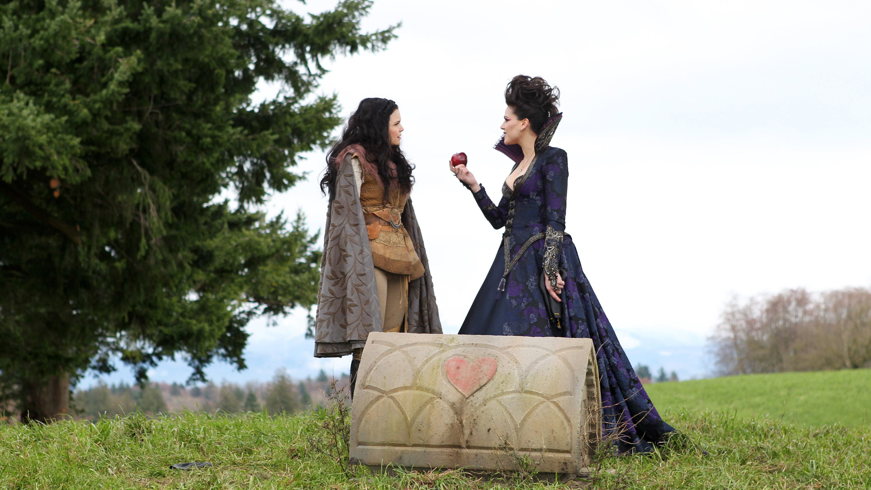 Folge Still