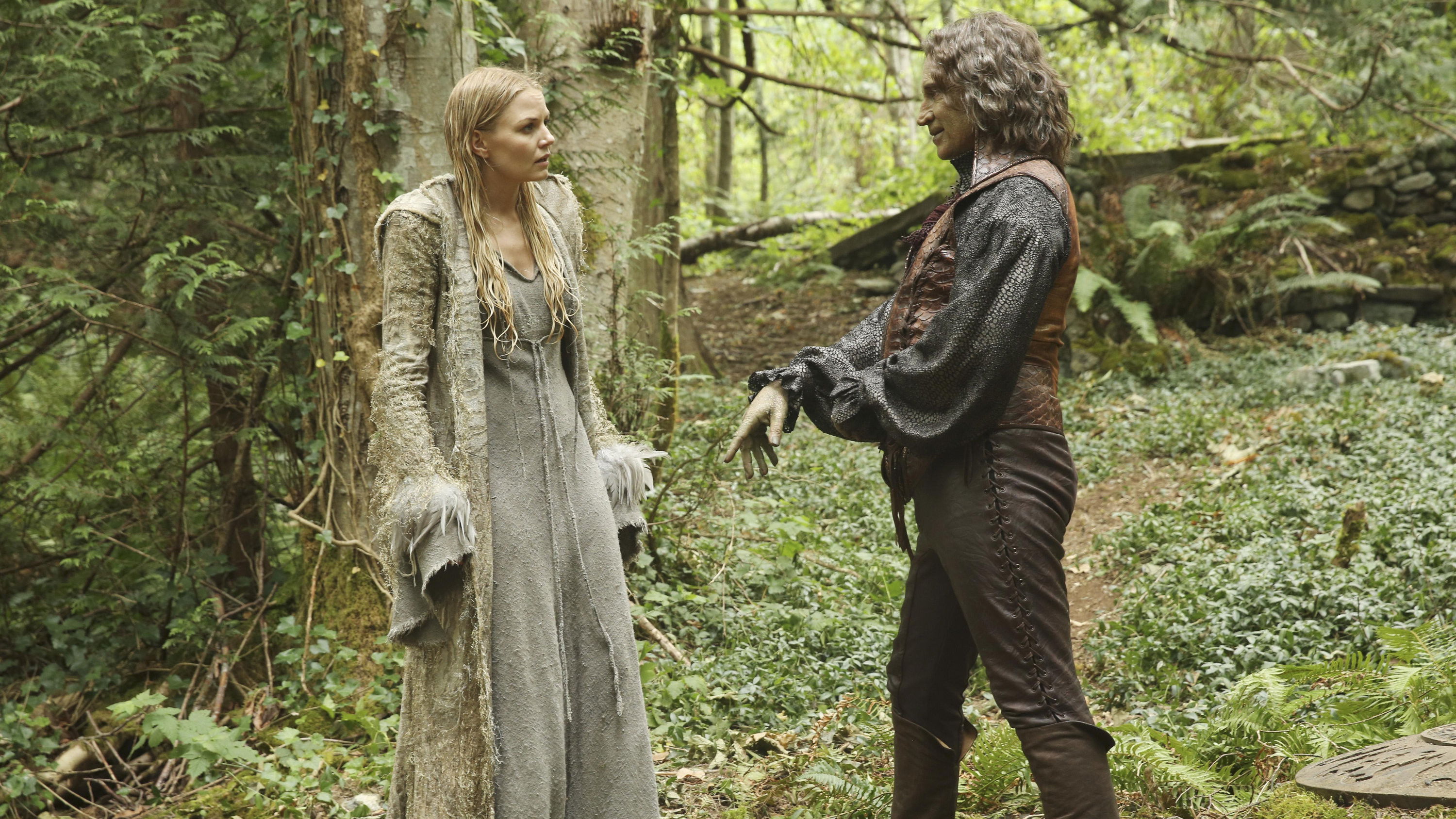 Folge Still