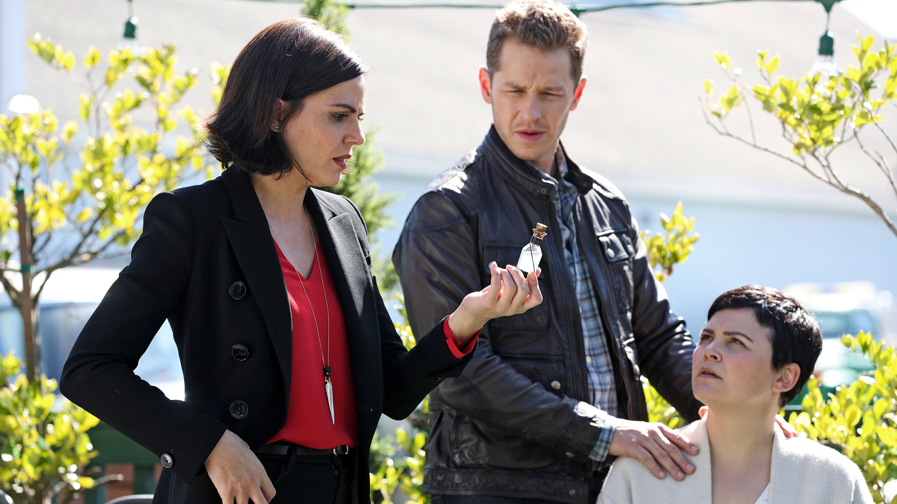 Folge Still