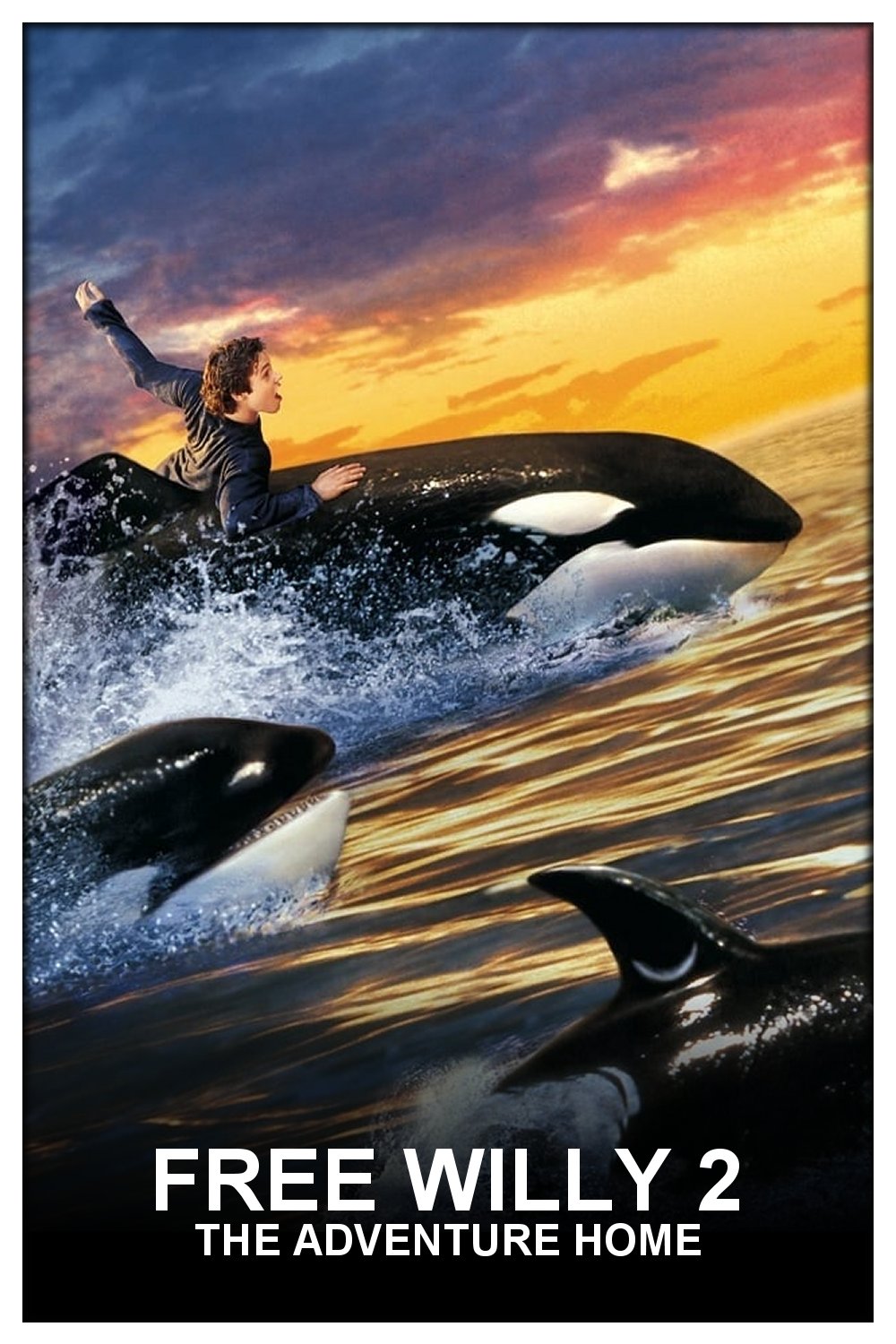 Free Willy 2 - Freiheit in Gefahr