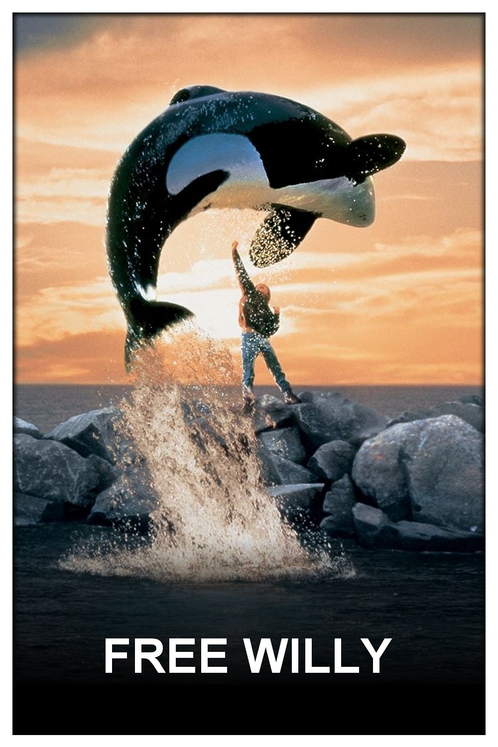 Free Willy - Ruf der Freiheit