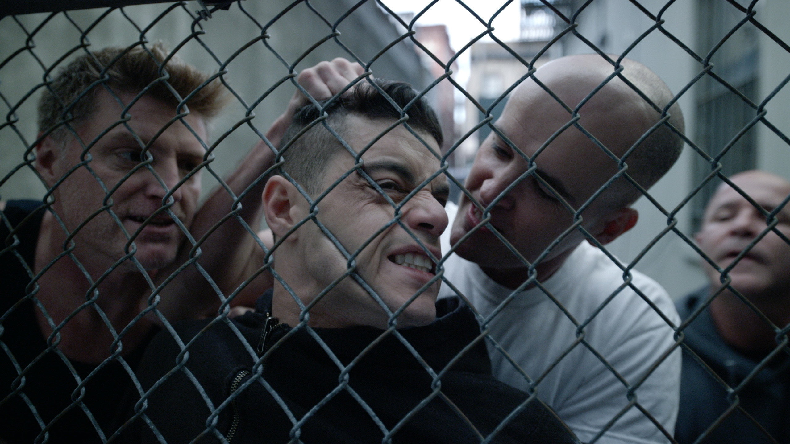 Folge Still