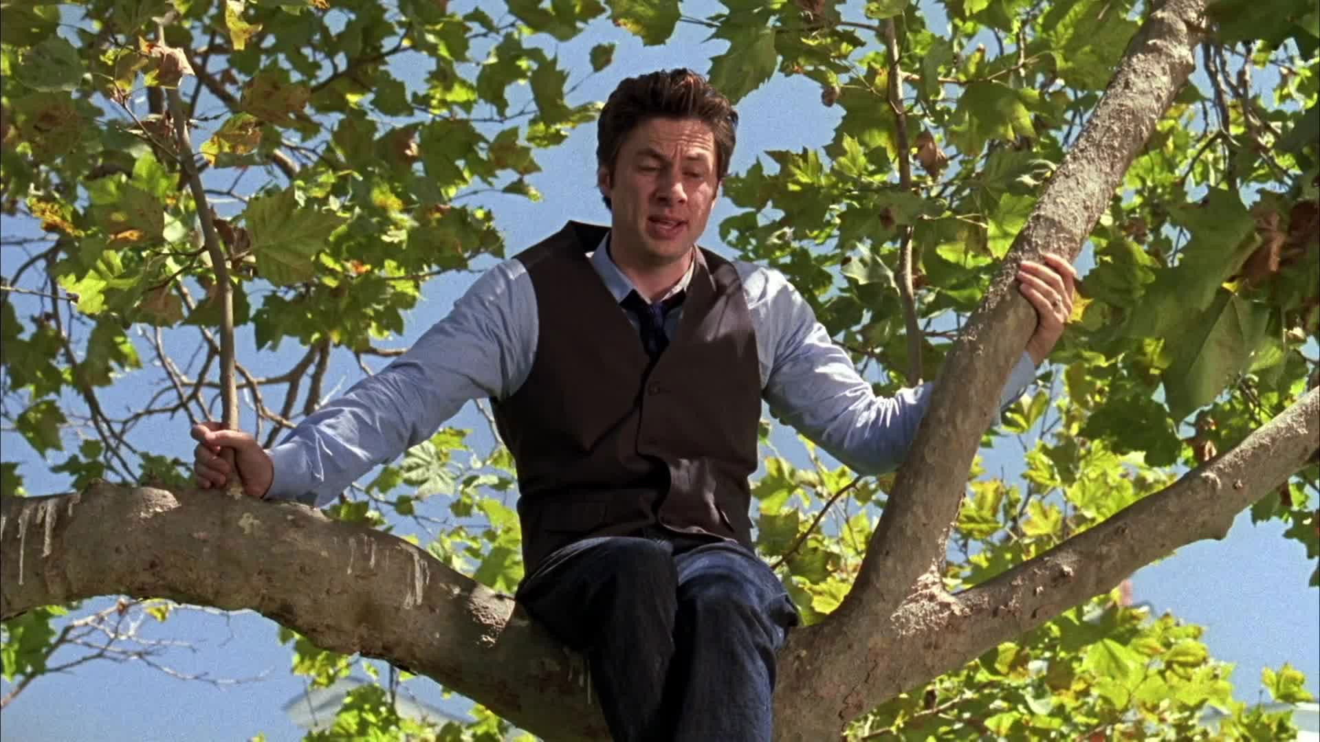 Folge Still