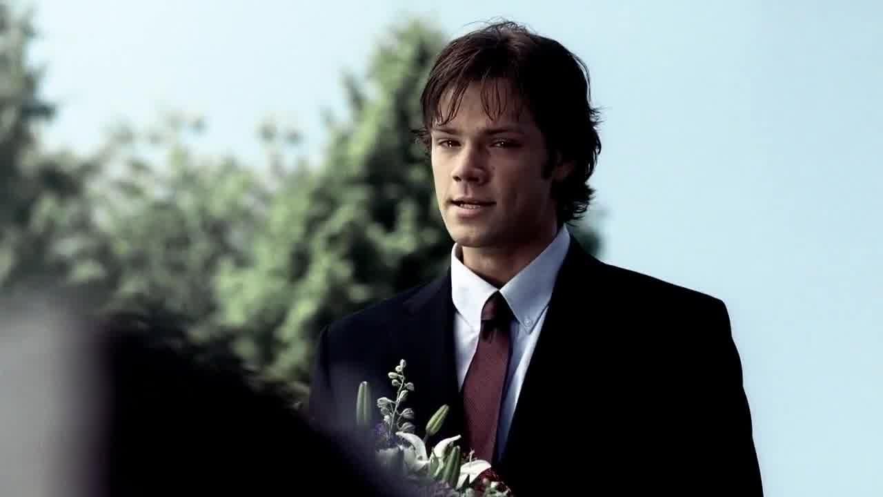 Folge Still
