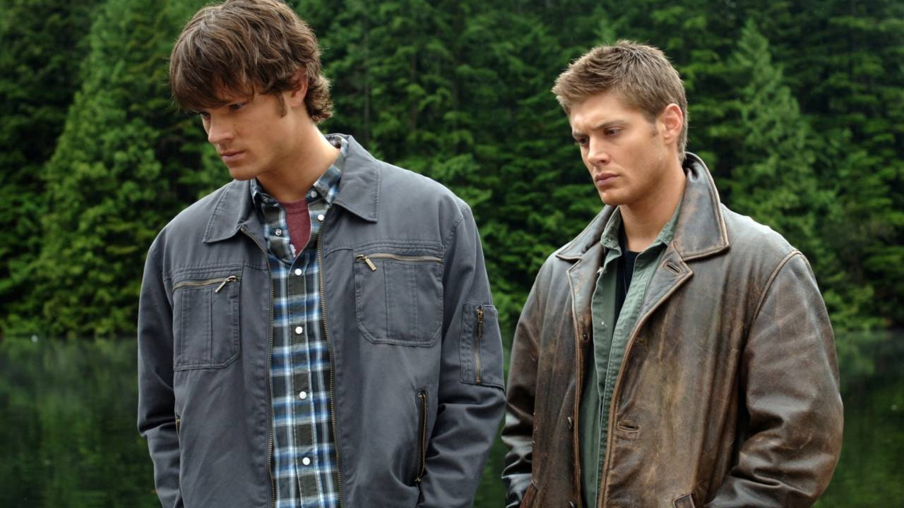 Folge Still