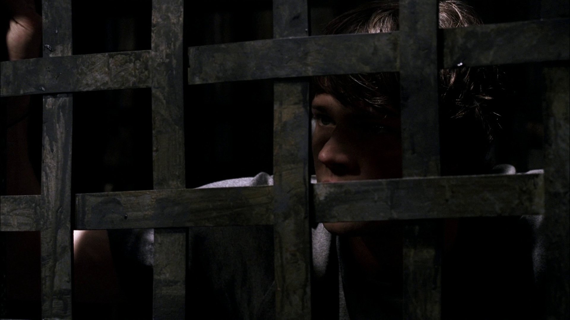 Folge Still
