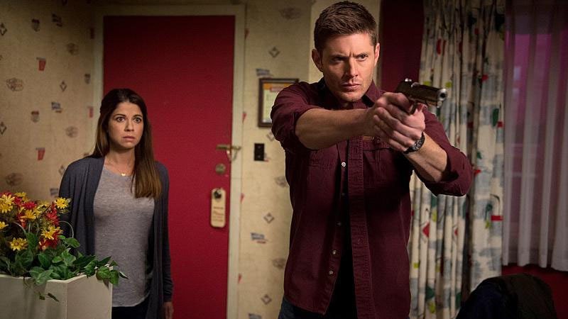 Folge Still