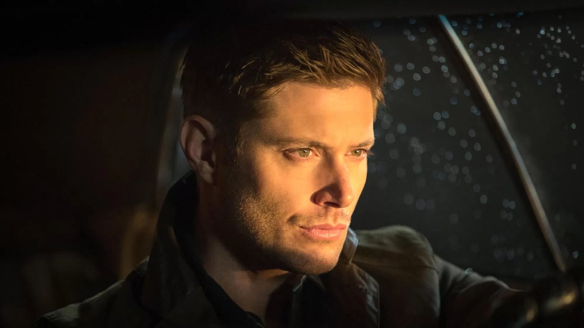 Folge Still