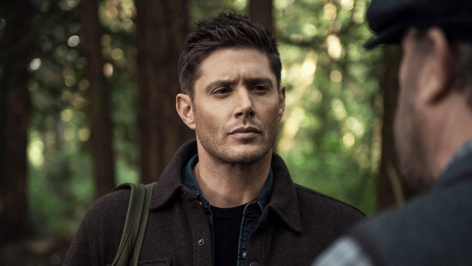 Folge Still