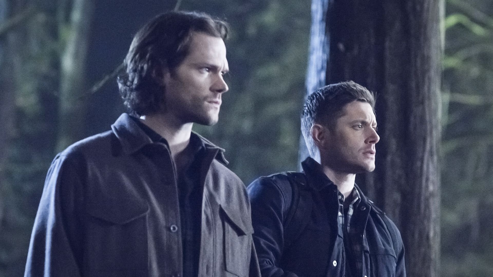 Folge Still