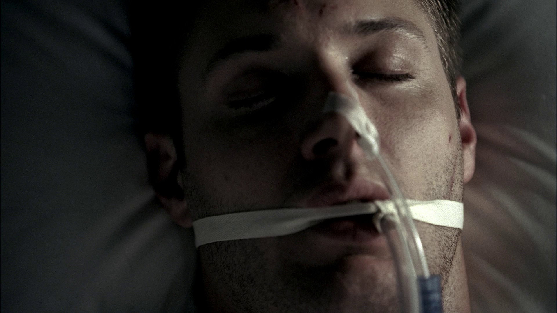 Folge Still