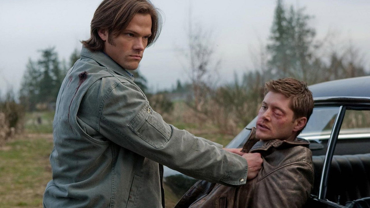 Folge Still