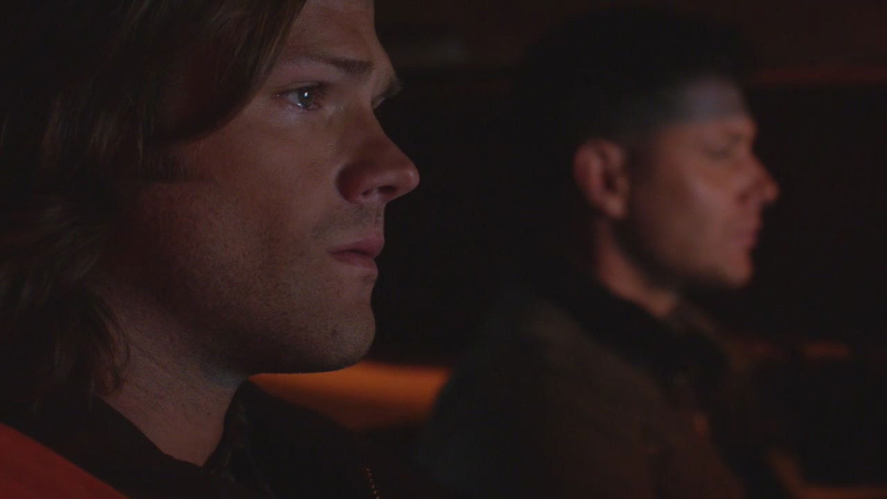 Folge Still