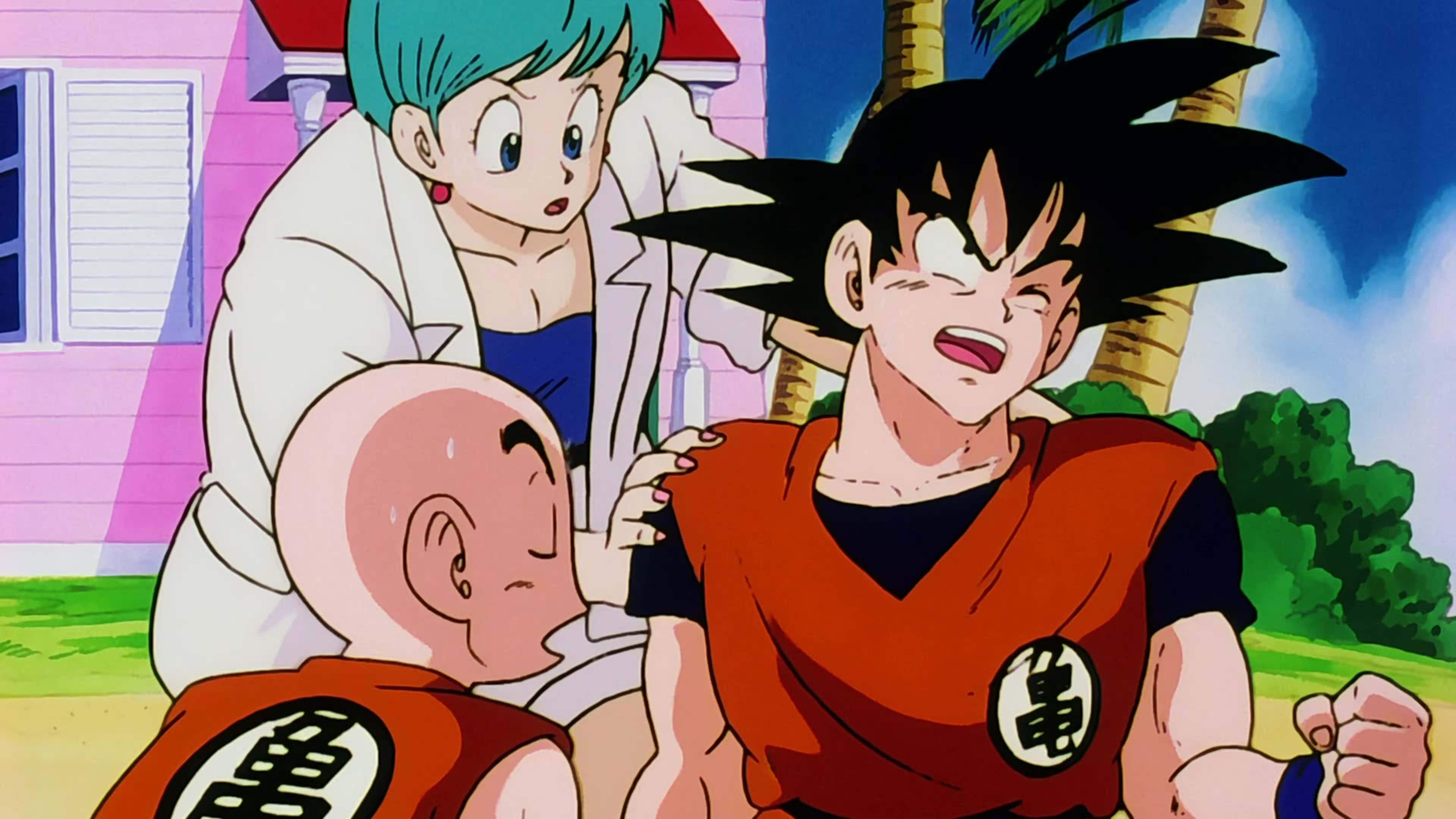 Folge Still