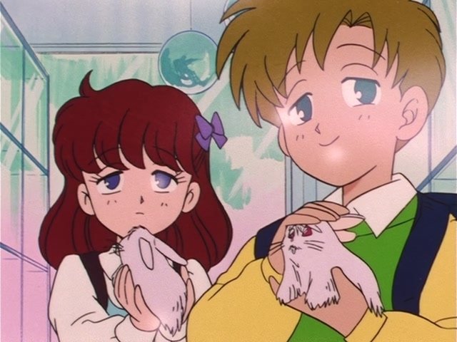 Folge Still