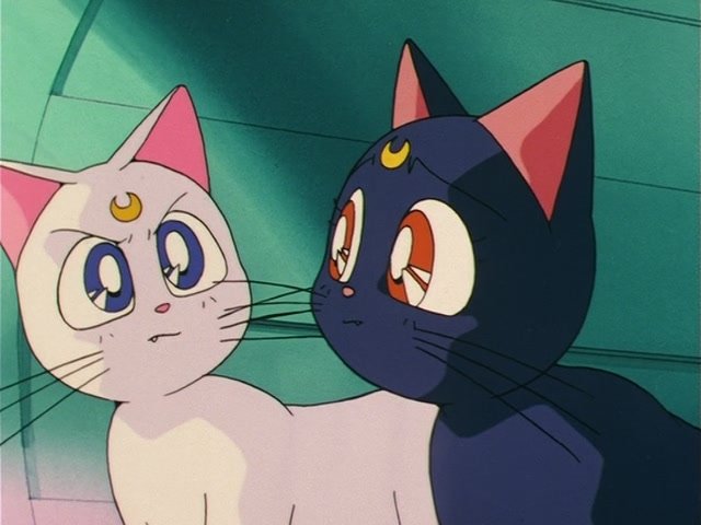Folge Still