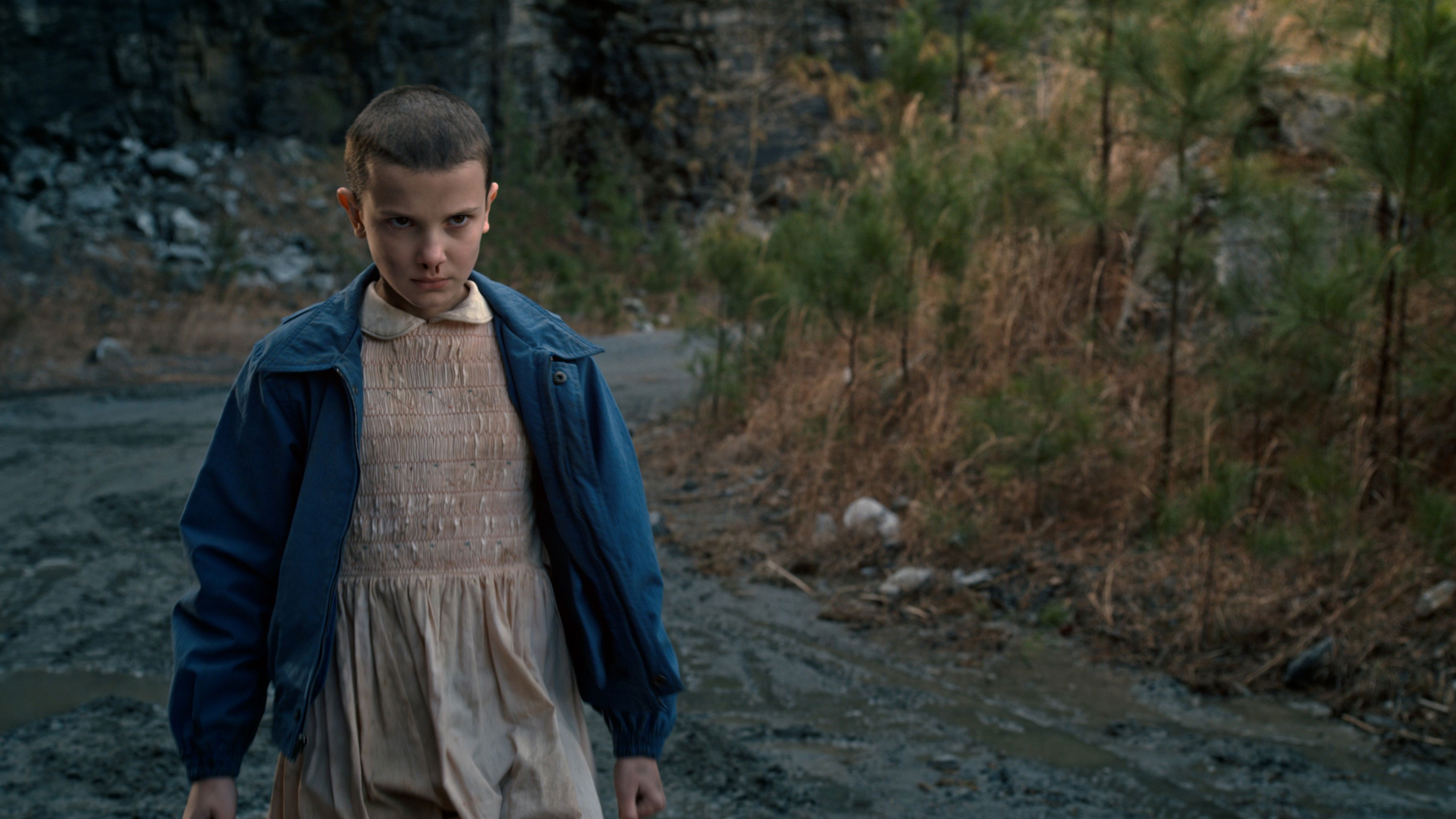 Folge Still