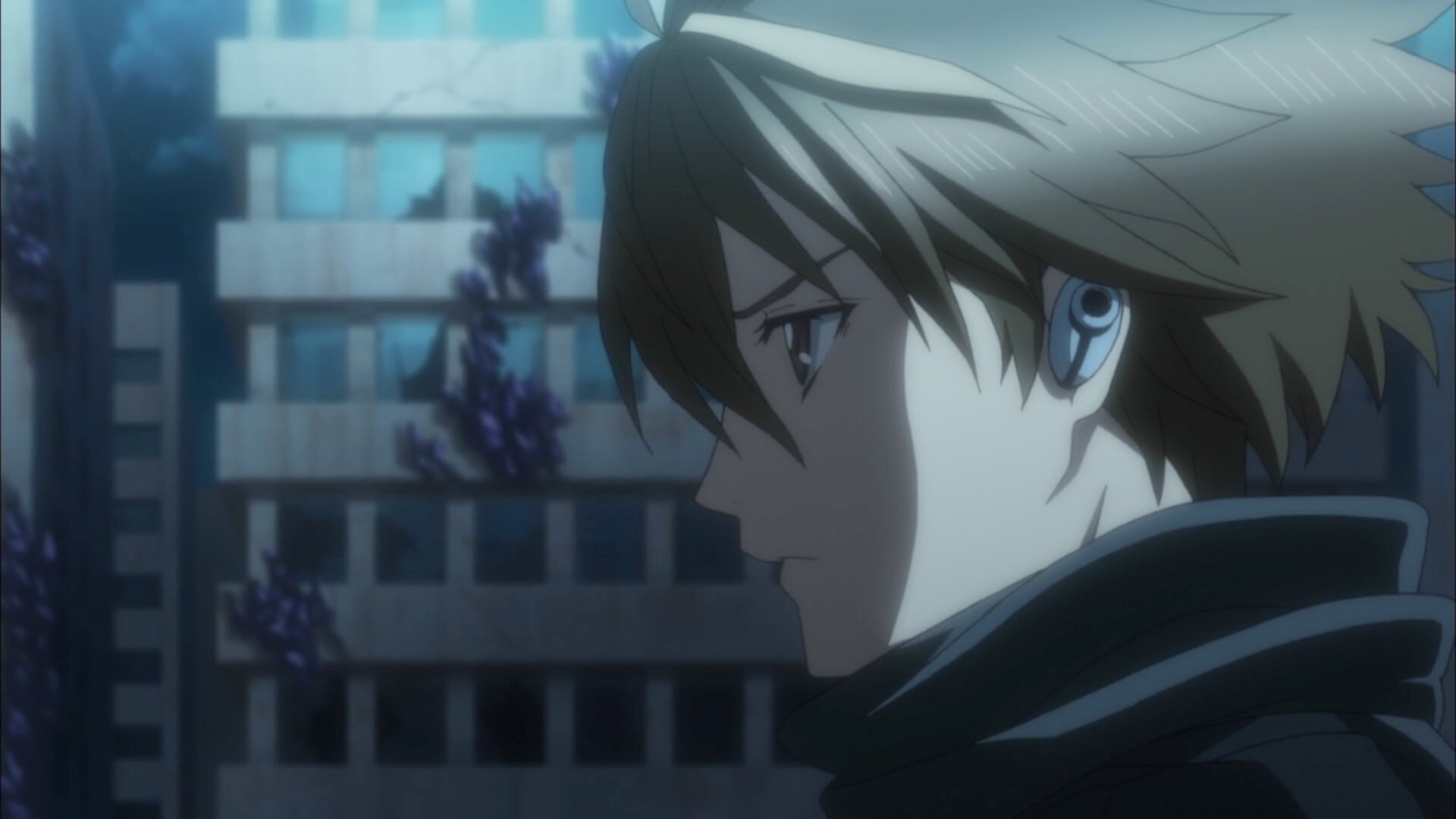 Folge Still