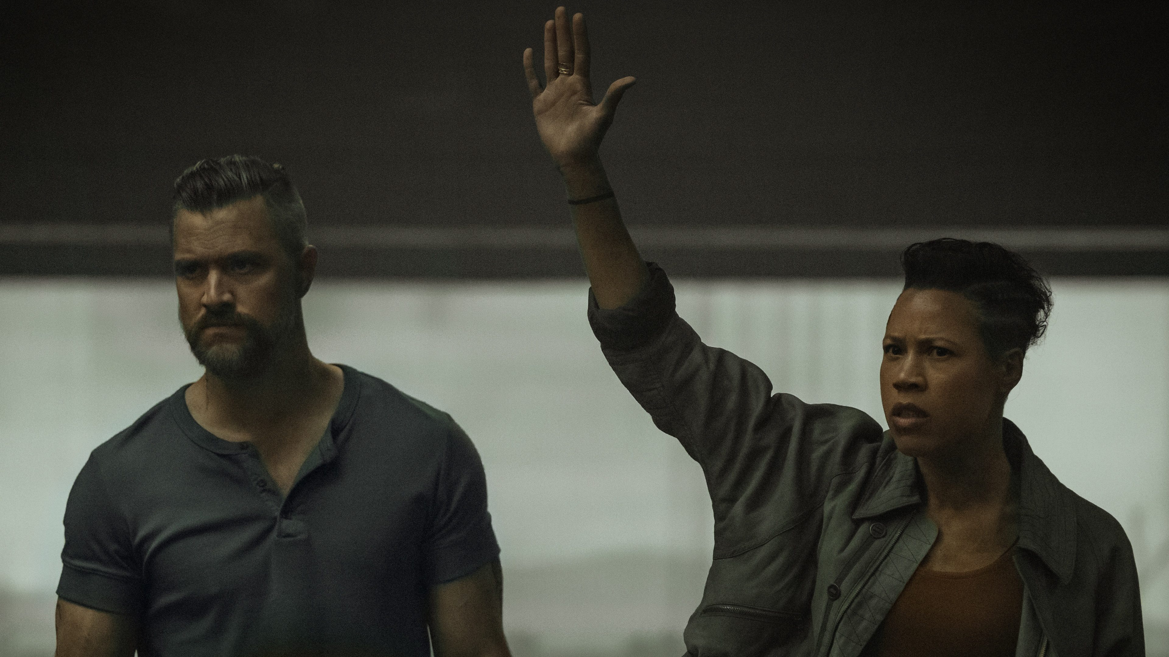 Folge Still