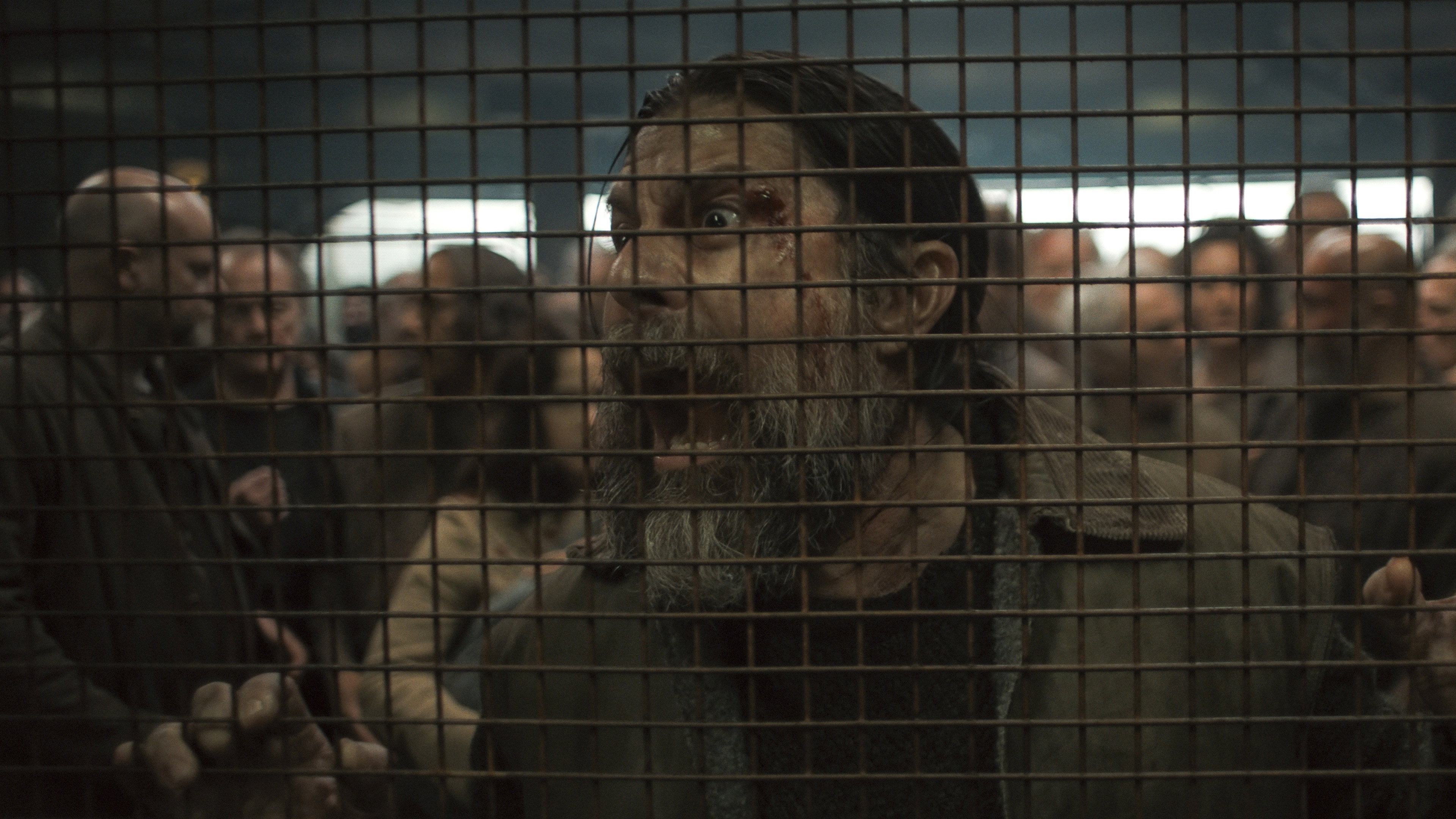 Folge Still