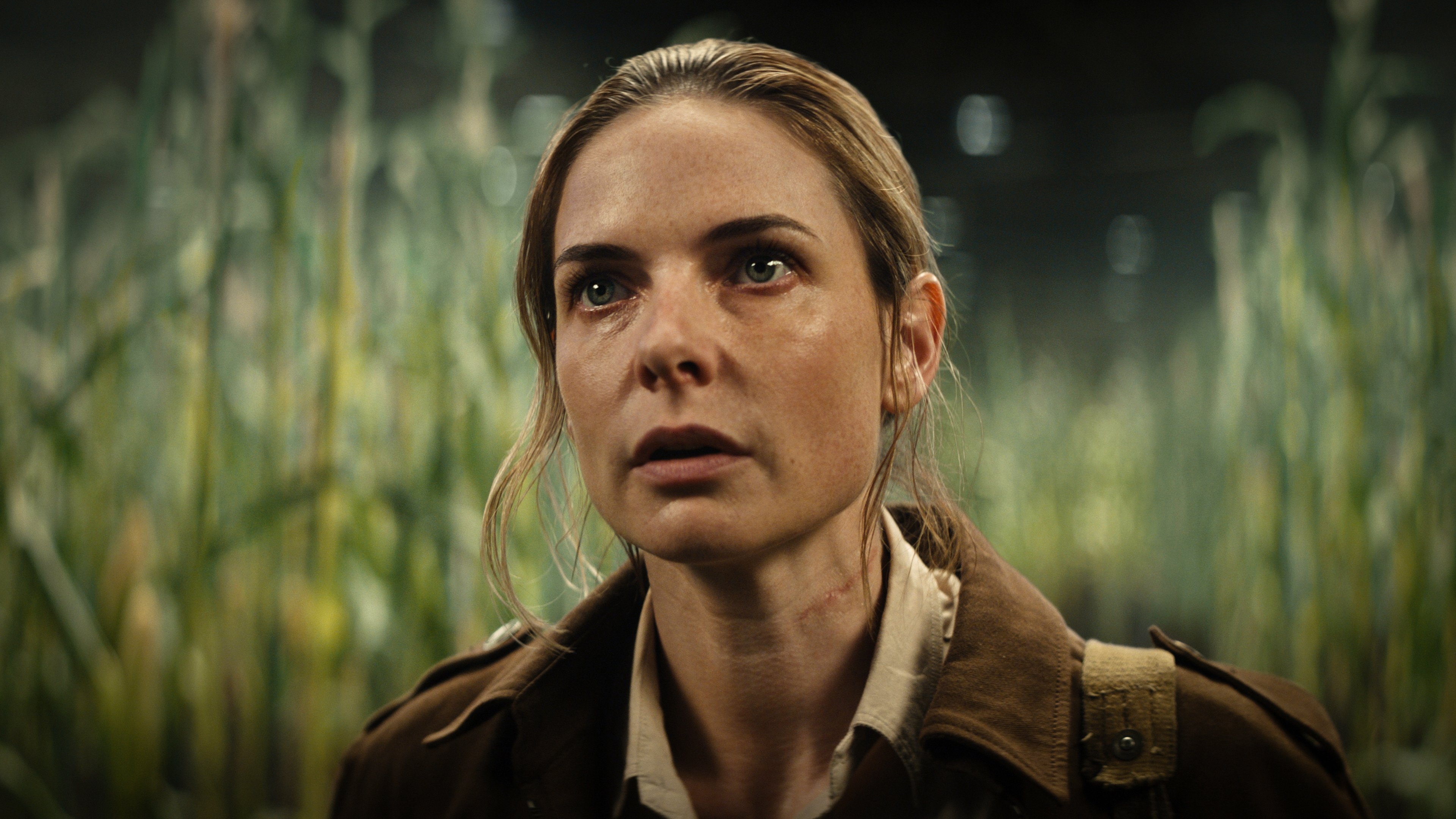 Folge Still