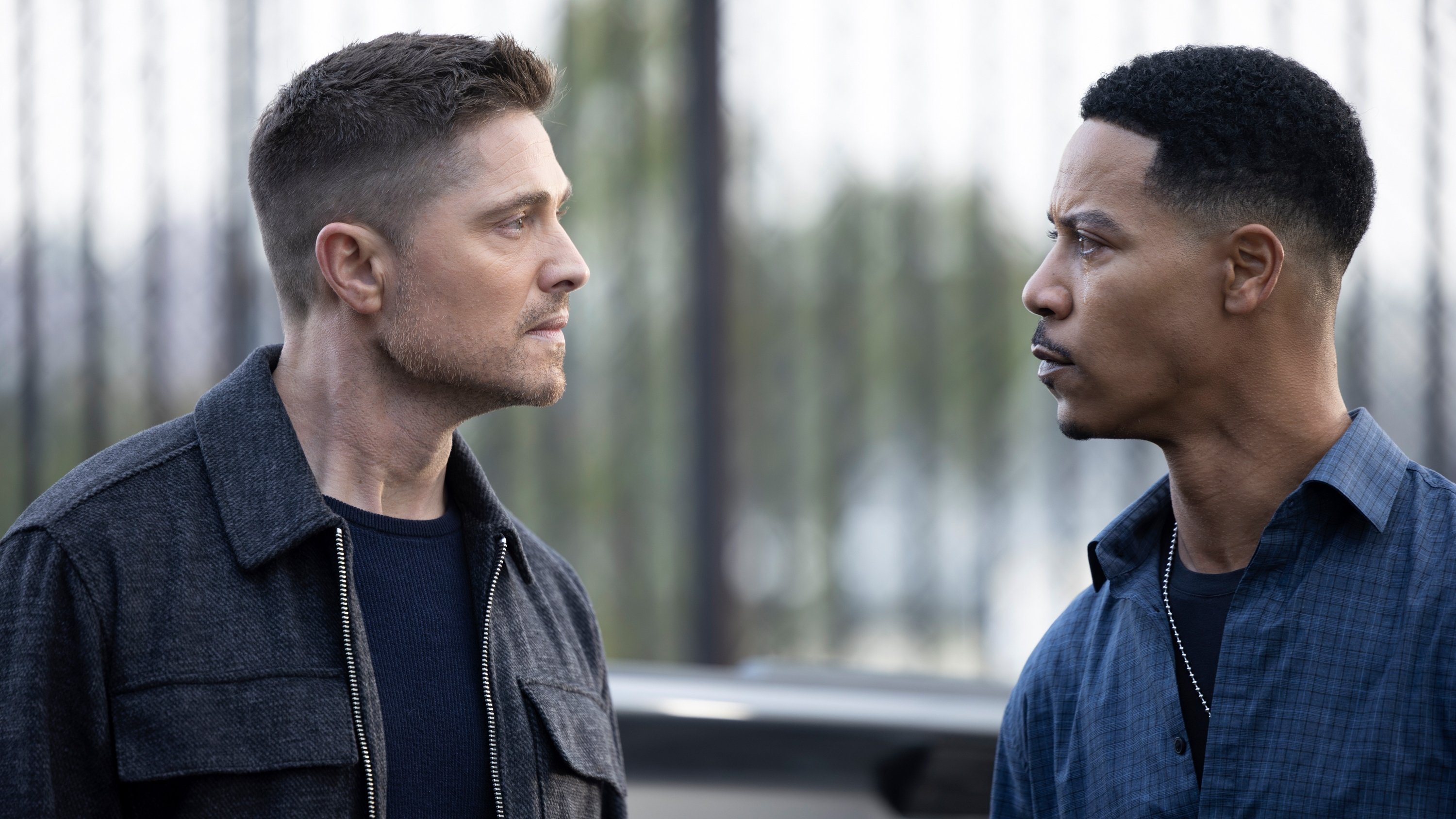 Folge Still