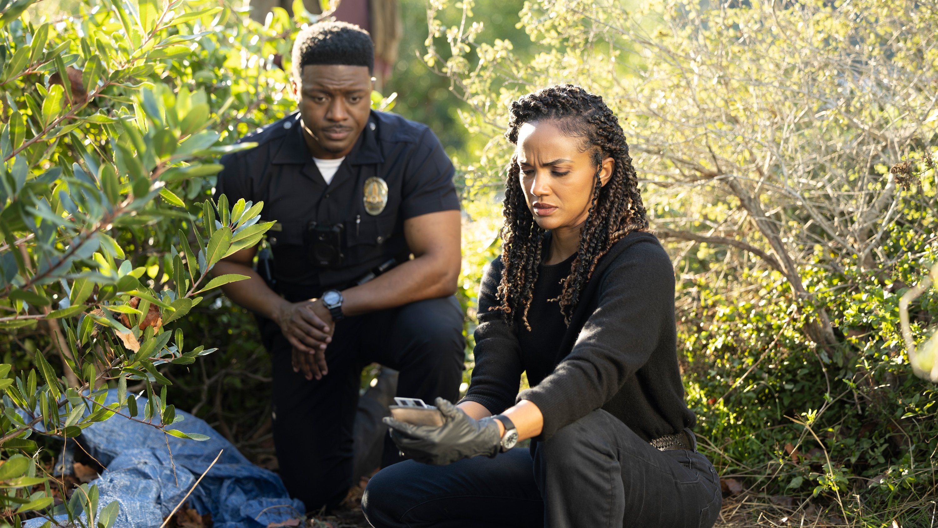 Folge Still