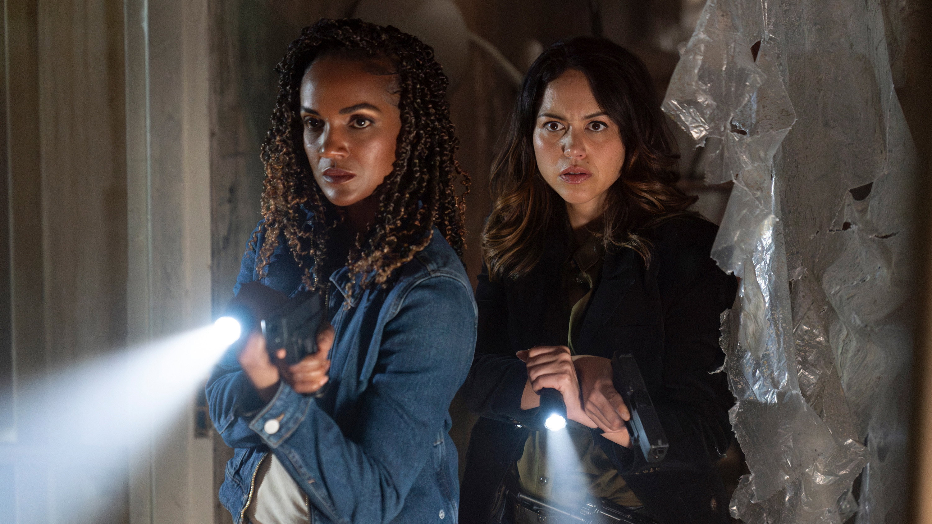 Folge Still