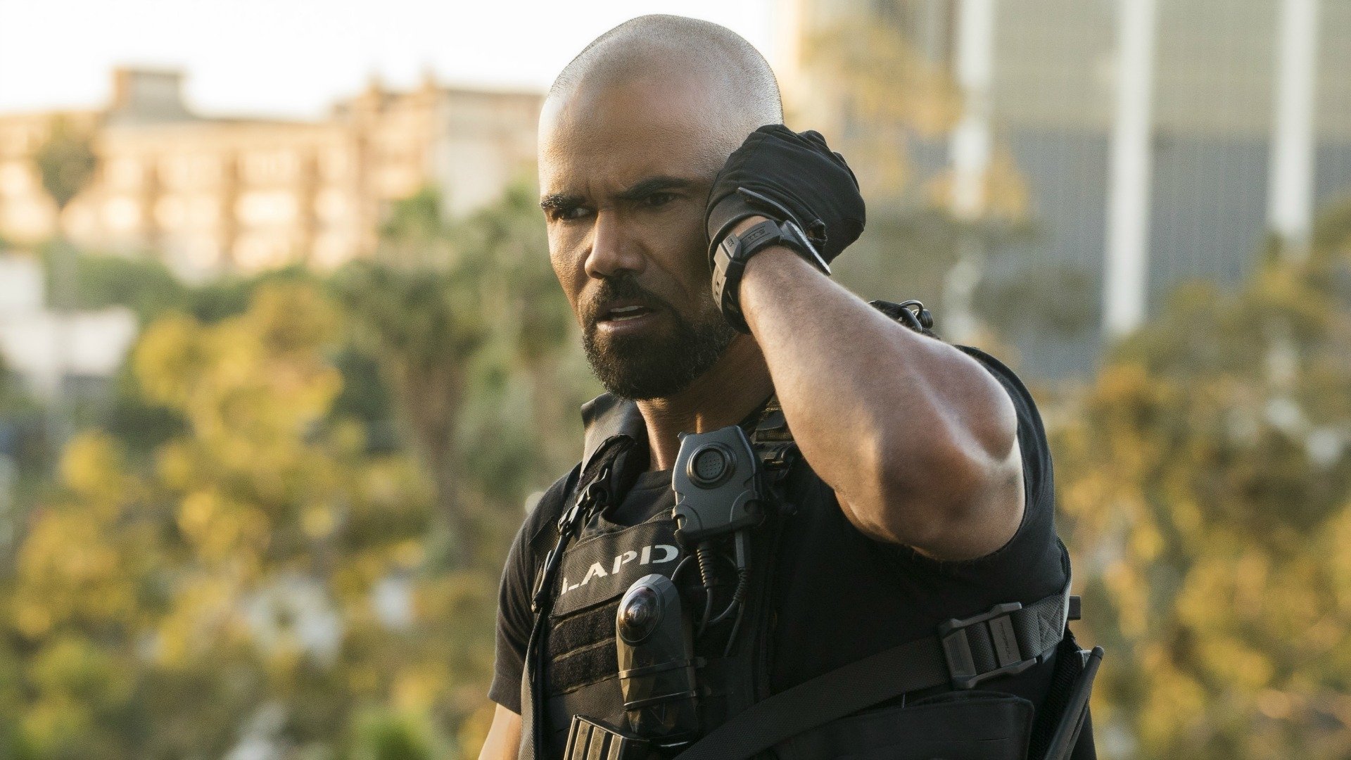 Folge Still