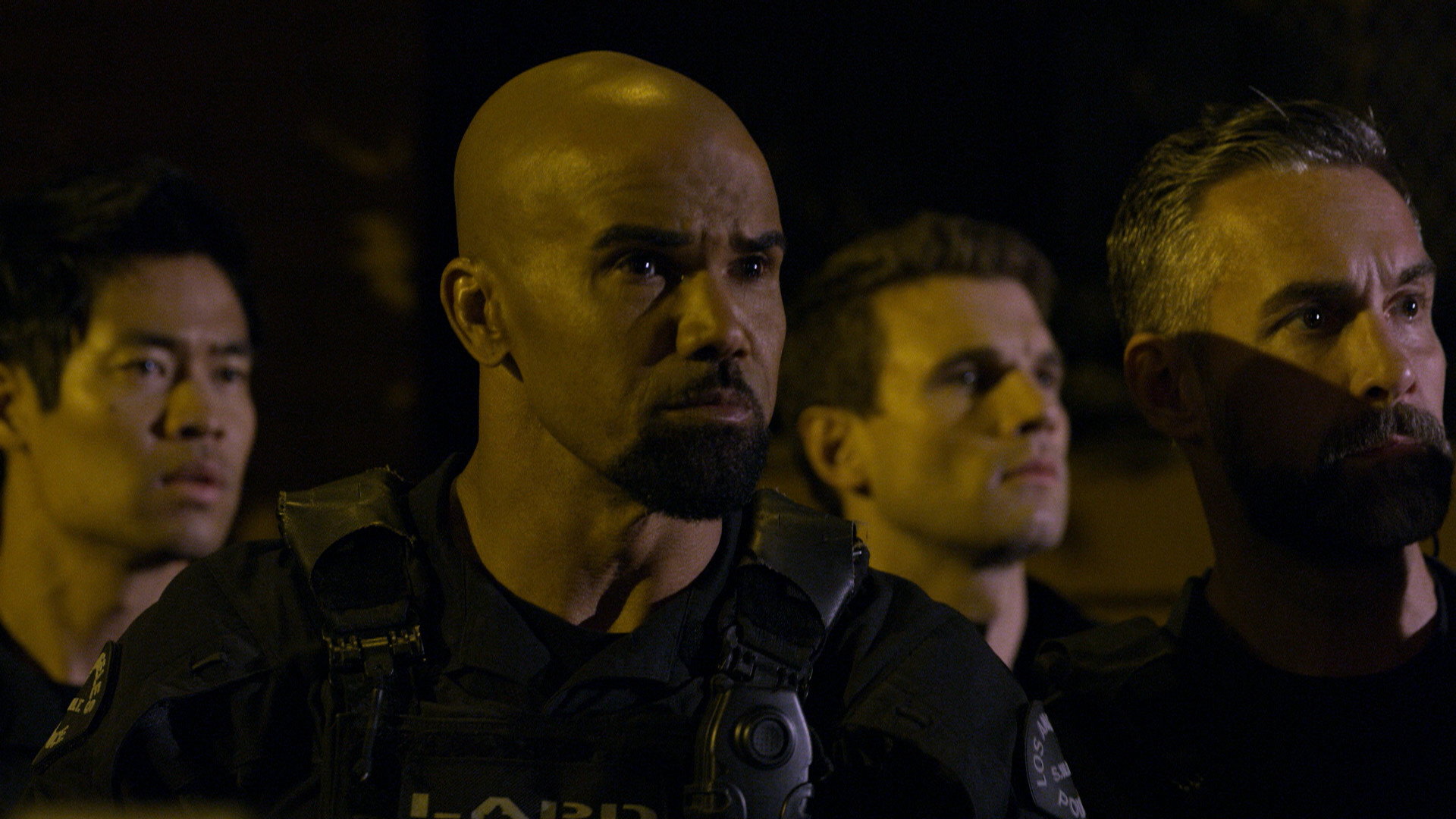 Folge Still