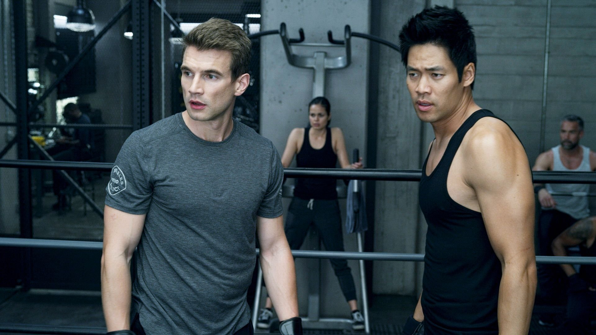 Folge Still