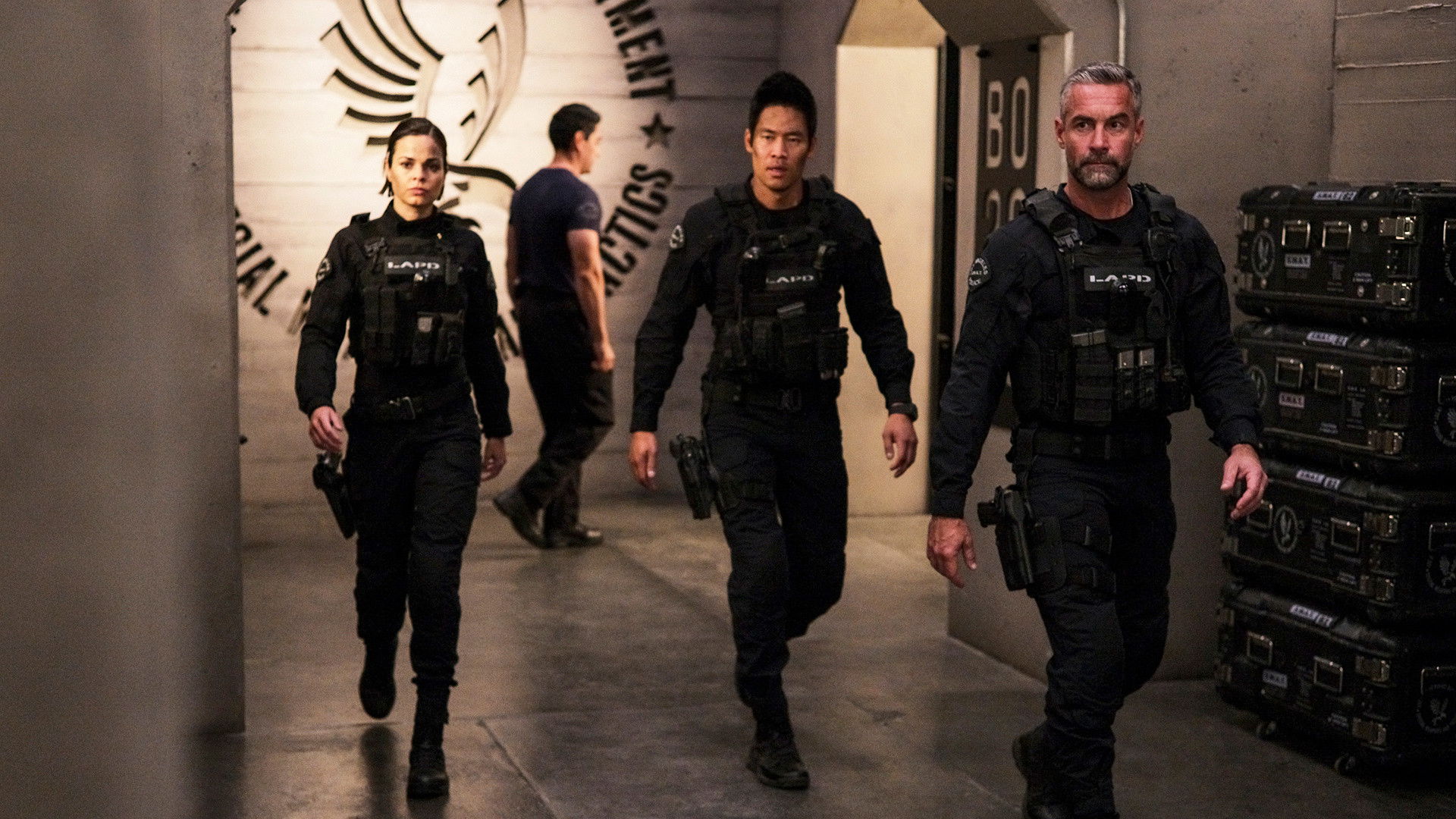 Folge Still
