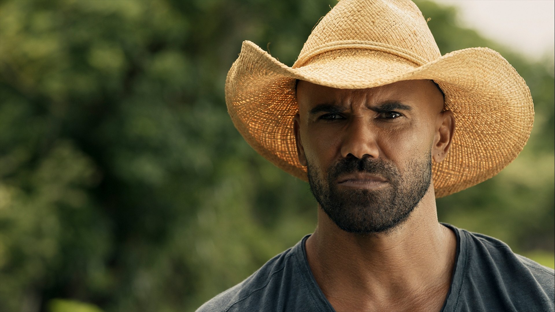 Folge Still