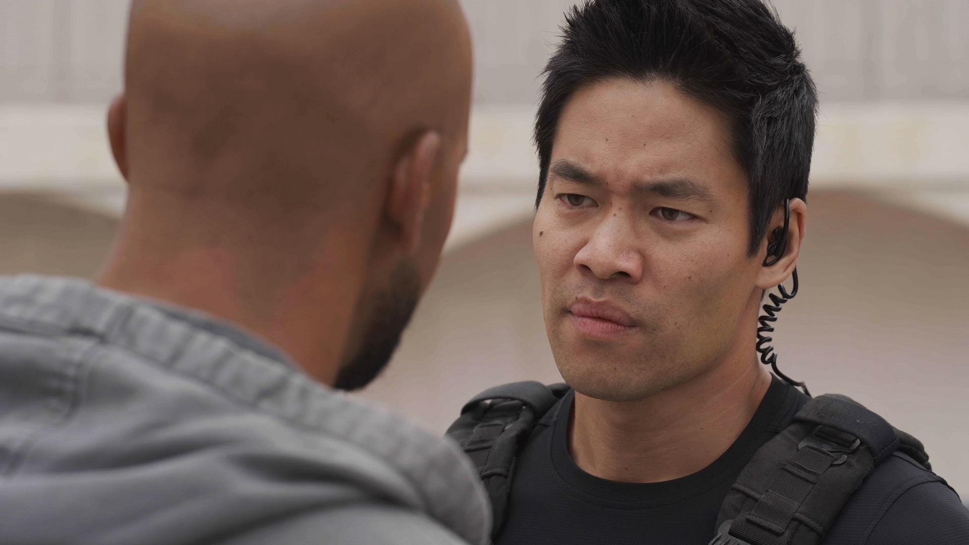 Folge Still