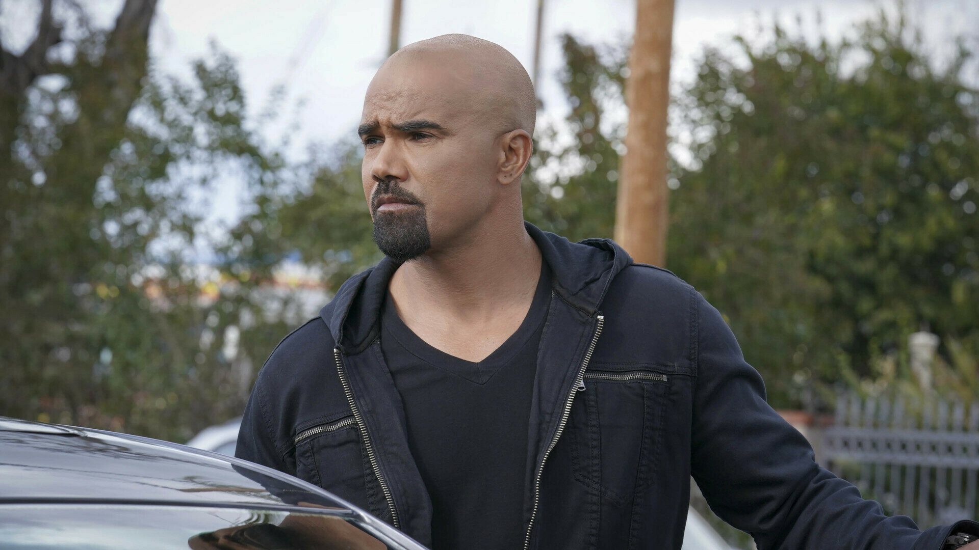 Folge Still