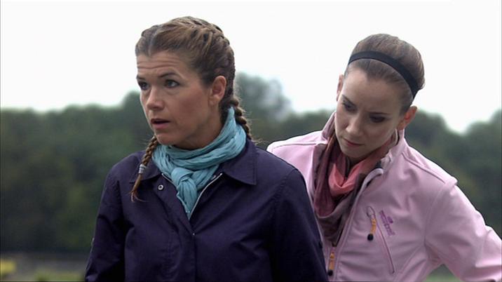 Folge Still