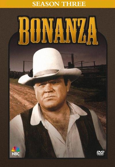 Staffel Cover
