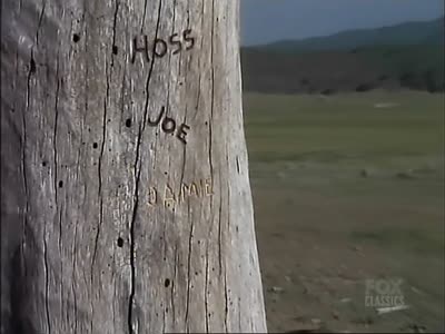 Folge Still