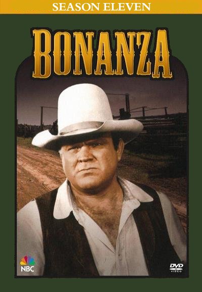 Staffel Cover